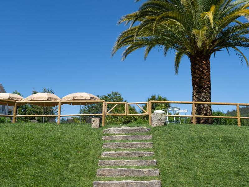 Quinta De Carcavelos Natures Home Amarante Eksteriør billede
